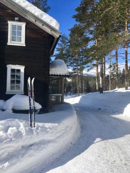 Breiva Gjestegaard Og Glamping เบอ ภายนอก รูปภาพ